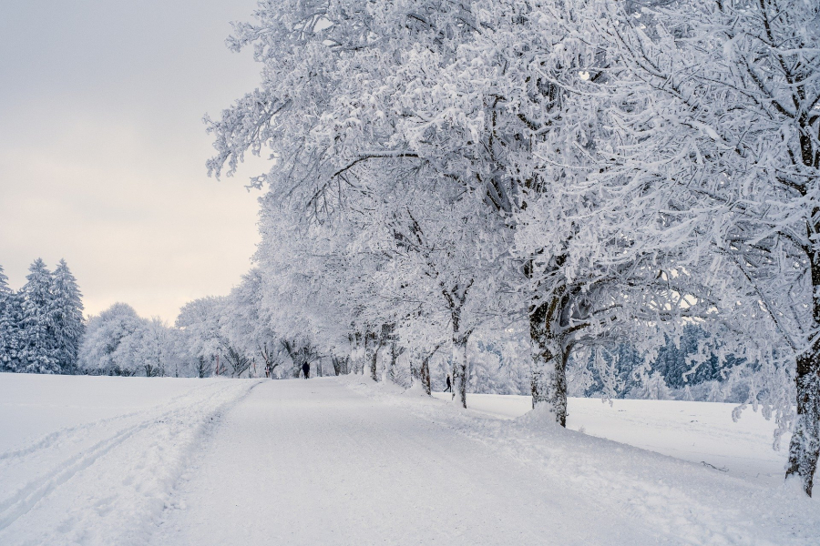 Erholsame Winterferien!